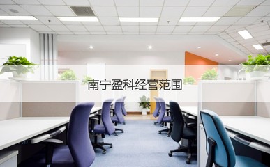 南寧盈科 聚焦計算機技術咨詢，解析其經營范圍與職業前景
